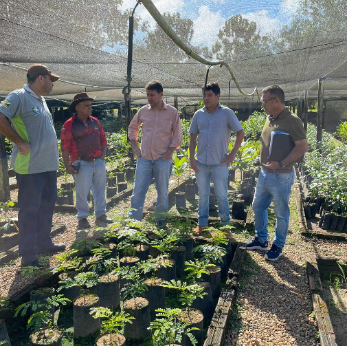 Leia mais sobre o artigo Ameron parabeniza juiz Maximiliano Deitos pela conquista do Prêmio Juízo Verde com o projeto “Colhendo Sementes, Construindo Viveiros, Plantando Florestas”